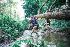 BIB: 
                            <button type="button" onclick="openModal(25443407)" class="btn btn-primary btn-sm float-right btn-popup" data-toggle="modal" data-target=".modal-high-quality">
                        <i class="fas fa-shopping-cart"></i> Add to Cart
                    </button>
                                            <button type="button" onclick="isThisMe(25443407, true)" class="btn btn-success btn-sm float-right btn-popup btn-isme hidden" data-toggle="tooltip" data-placement="bottom" title="นี่คือรูปของคุณใช่ไหม คลิกที่นี่เพื่อเอาเข้าอัลบั้ม">
                        <i class="fas fa-plus"></i> Add to album
                    </button>
                    <button type="button" onclick="isThisMe(25443407, false)" class="btn btn-warning btn-sm float-right btn-popup btn-isnotme hidden">
                        <i class="fas fa-ban"></i> Remove from album
                    </button>